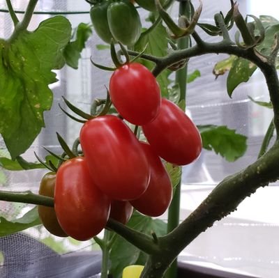 kaz5107114176's profile picture. Hallo