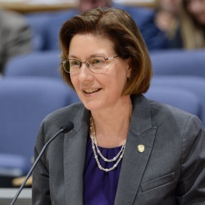 State Senator, MN SD 51 | Representing Bloomington, Richfield, Minneapolis (she/her) | Mom. Wife. Democrat | Prep & Paid for: Melissa H Wiklund for State Senate