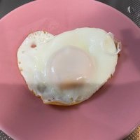 全日本目玉焼き学会 (@medamayaki_net) 's Twitter Profile