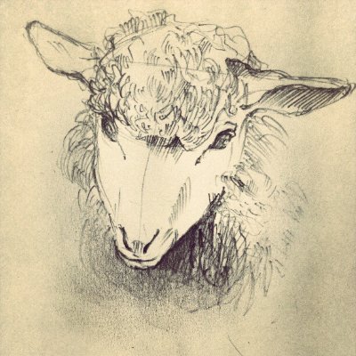 さとう こうさんのプロフィール画像