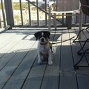 Anthony Bond - @dirtybangbang - Twitter