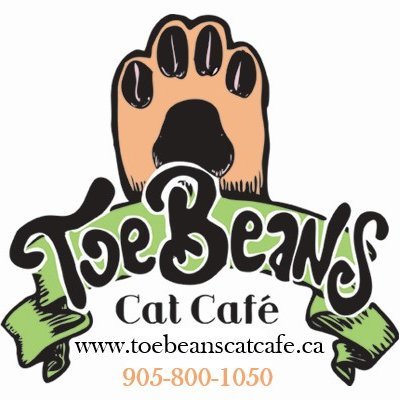 Toe Beans Cat Cafe