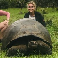 Dr. Rachael Arens, EdD (@arensrachael) 's Twitter Profile Photo Dr. Rachael Arens, EdD (@arensrachael) 's Twitter Profile Photo