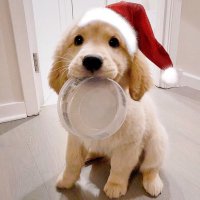 FreshAir (@0xfreshair) 's Twitter Profile