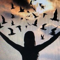 Tamera B. (@tamerab17) 's Twitter Profile