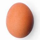literallyanegg2's profile picture. egg