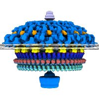 Jun Liu Lab (@junliulab) 's Twitter Profile