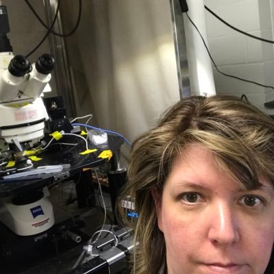 PhD Neuroscientist, hearing research.🧠👂🔬 #BTSarmy mom. Learning Japanese, love of quilting. Tweets are my own. 😜