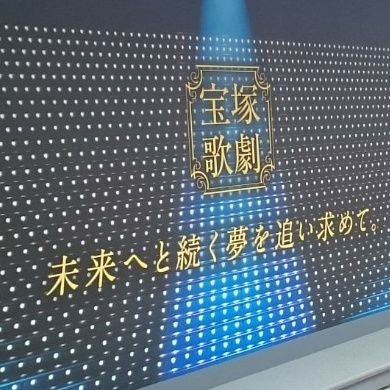 宝塚ファン。東京劇場公演は全組観ます。以前は、雪↔星↔宙の間でブレブレでしたが、今は生粋の宙担のつもりです。真風さん率いる宙組を全力で応援すると決めてます！。1.2番手コンビの素敵さ、尊さというものを教えてくれた、まあまかには感謝しかありません。よろしくお願いします。