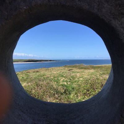 AraShtop's profile picture. 