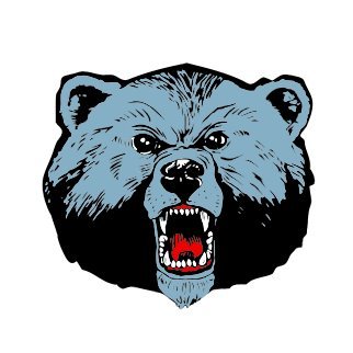 lcbluebears Profile Picture