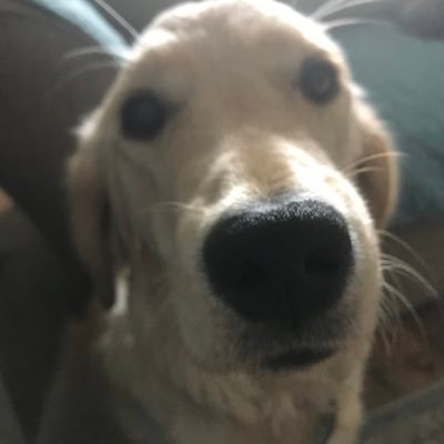 vicroffey's profile picture. 