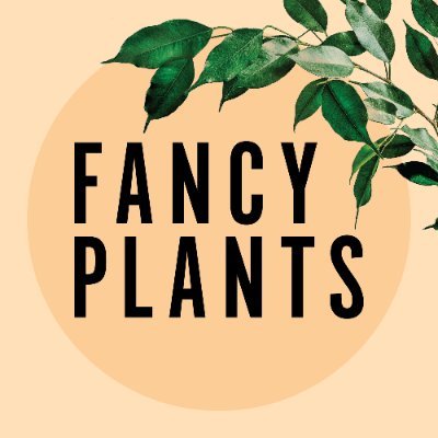 Cris, Sue and Amanda talk about plants--the good and bad. We'll answer listeners' questions, have special guests, and generally dish about our favourite hobby.