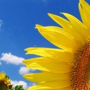 Regina Decker - @historyn3rd - Twitter