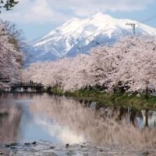 9BcFaFITBvLTCc3's profile picture. 