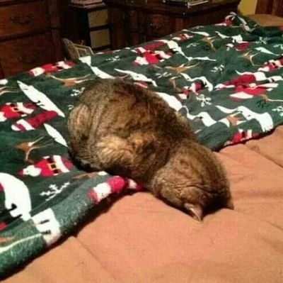 Paty_roKim's profile picture. ¿Ves la tierra tan ancha y extendida?Pues no es más que sepulcro dilatado que oculta cuanto fue, cuanto ha pasado...