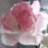 Sahrul76952880