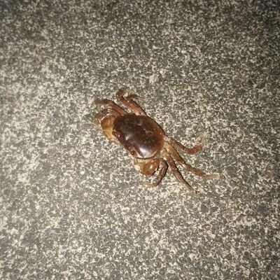 釣りが趣味ですが、最近は「アクアリウム」に嵌まりっぱなしでほとんど行ってません・・・。
他にはアニメ観賞も趣味です・・・。
「学園物」とか「日常系」が特に・・・。