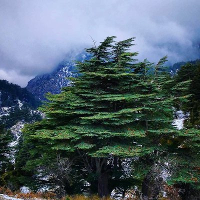 J73675857's profile picture. 【花花嫩草】高端外围资源，3K起有入会门槛，不接受请忽扰。咨询客服QQ：3971124947 电报客服：https://t.co/kP0tgYMRRt 资源电报群：https://t.co/NiagxmUWeO