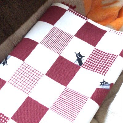 本と戯れてます。本を読むこと、本屋に行くこと、感想を書くこと、飾ること。作家、編集者、出版社、書店、書店員、読書好き、本好き応援したい。お気軽に見てってください。 #本好きの戯れ