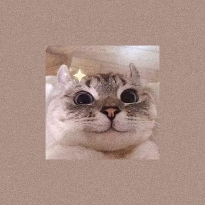 JNpv19's profile picture. 𝓶𝔂 𝓶𝓮𝓶𝓸𝓻𝔂