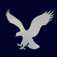 The last fiddler (@oldbtc2010) Twitter profile photo
