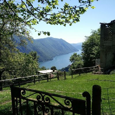 alongilad71's profile picture. Information Specialist