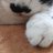 きさこのアイコン