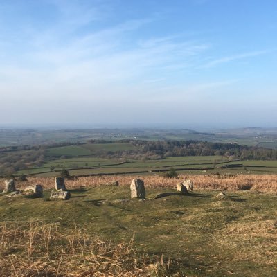 aguilatranquila's profile picture. 