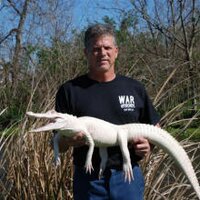 White Alligator Racing (@warpsm) 's Twitter Profile