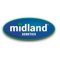 midlandgenetics's profile picture. 