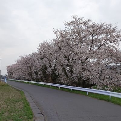 将棋教室講師