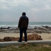 D aBhoza (@dabhoza) 's Twitter Profile