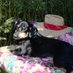 Marie Wassall (@mariewassall) Twitter profile photo Marie Wassall (@mariewassall) Twitter profile photo