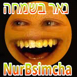 NurBesimcha Profile Picture