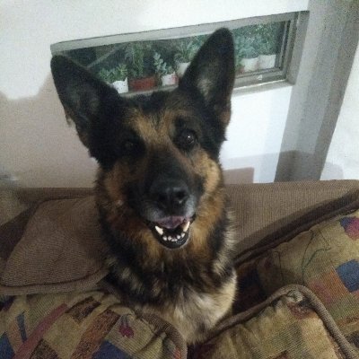 IgnacioRaphael7's profile picture. Trying to get good at fighterz
Gamer and streams sometimes