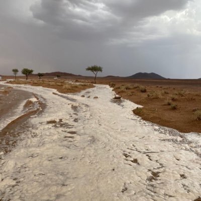 TE22f1's profile picture. لا اله الا الله