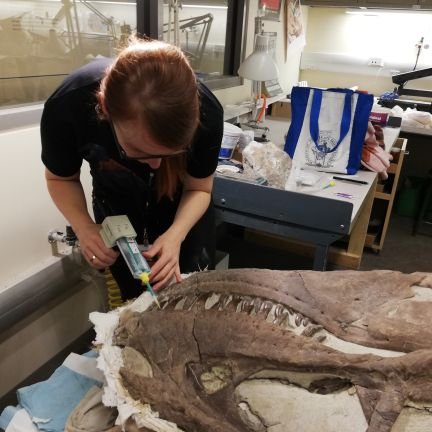 Postdoctoral researcher working on tooth wear and dietary reconstruction in tetrapods. microwear texture, functional morphology, tribology
