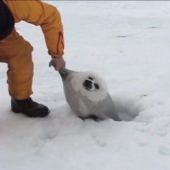 元気❕さんのプロフィール画像