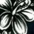 KellieGirl2010's profile image