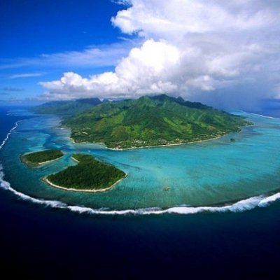 zenintechs's profile picture. 