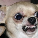 Ted Tate - @tedtatenb - Twitter