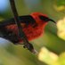Pacific Birds (@pacific_birds) Twitter profile photo Pacific Birds (@pacific_birds) Twitter profile photo