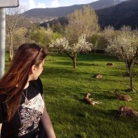 Arianna Longarini (@arilongarini) 's Twitter Profile