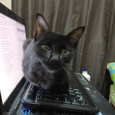 iamjoshell's profile picture. Storyteller, owner @ Read and Ride Mobile Store. 🇵🇭🏳️‍🌈 #RRMBS #ReadAndRide #ReadAndRidePH #booktube
https://t.co/JTi77fSKhq