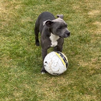 dhmjhc's profile picture. 