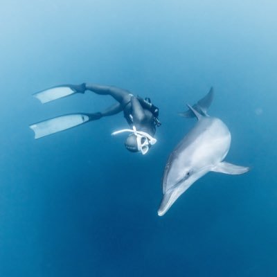 mademoisellemki's profile picture. 