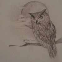 Owl(梟) (@owl_0725) Twitter profile photo