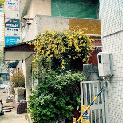 hideakiichikawa's profile picture. photographer ポートフォリオサイト是非ご覧ください