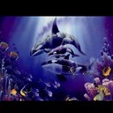 Eva Raines - @evamraines - Twitter